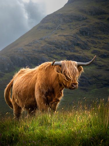 Rugged highlander, Isle of Skye by Pascal Raymond Dorland