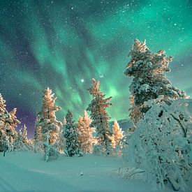 Nordlichter in Finnland von rik janse