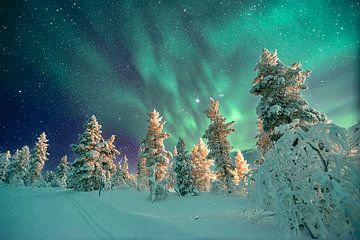 Northern Lights in Finland by rik janse