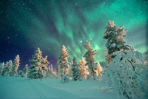 Les aurores boréales en Finlande