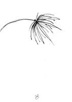 Abbildung Blume
