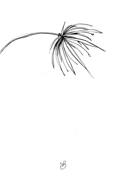 Illustration Fleur par Its all Round Art