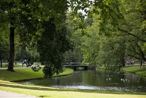 A visit to Rotterdam