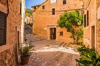 Altes Dorf von Fornalutx mit Blick auf die Kirche, Mallorca Spanien von Alex Winter Miniaturansicht