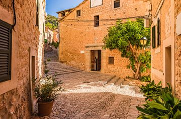 Altes Dorf von Fornalutx mit Blick auf die Kirche, Mallorca Spanien von Alex Winter