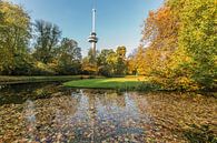 Herbst im Park an der Euromast in Rotterdam von MS Fotografie | Marc van der Stelt Miniaturansicht
