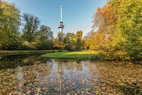 Herfst in het Park bij de Euromast in Rotterdam