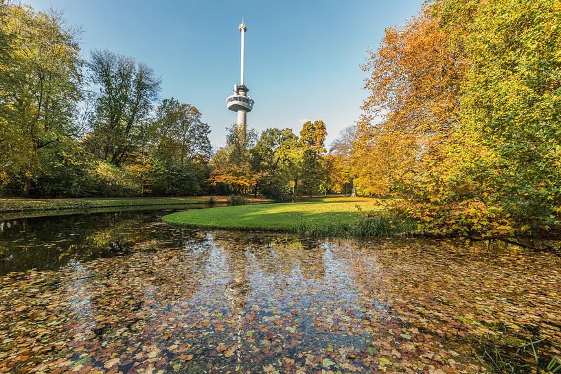 Automne dans le parc à l'Euromast à Rotterdam par MS Fotografie | Marc van der Stelt