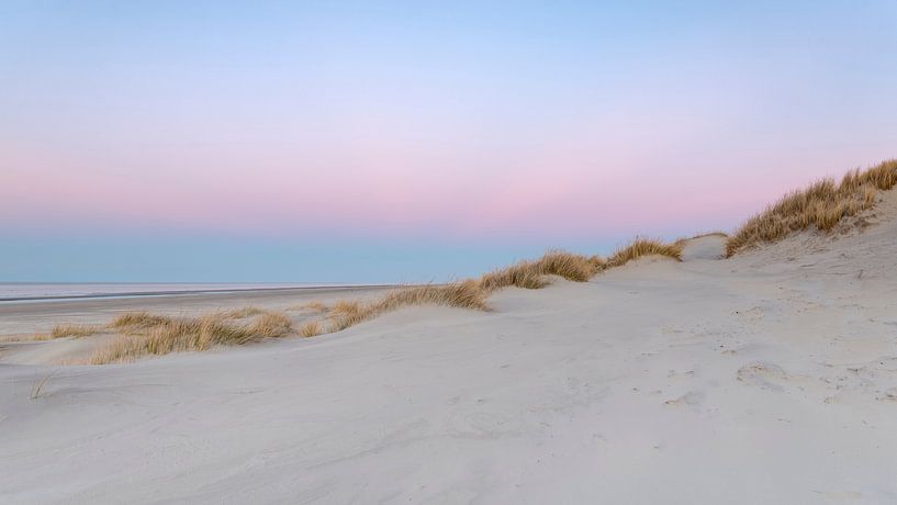 Pink Dunes 2 van Wad of Wonders