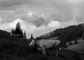 Green mountains and blue lakes in Switzerland by Yara Terpsma