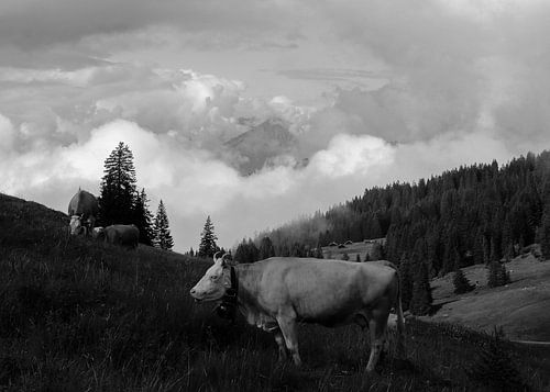 Groene bergen en blauwe meren in Switzerland