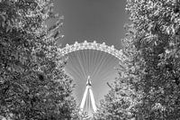 Going Round 