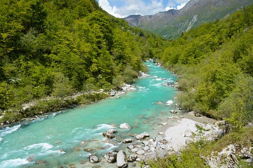 Soča river