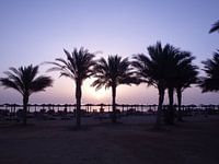 Egypt 2019