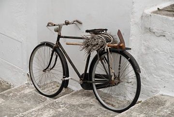 Old farmers bike... van Maja Mars