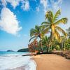 Plage des Caraïbes avec palmiers en Guadeloupe sur Jean Claude Castor
