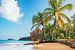 Karibikstrand mit Palmen auf Guadeloupe von Jean Claude Castor