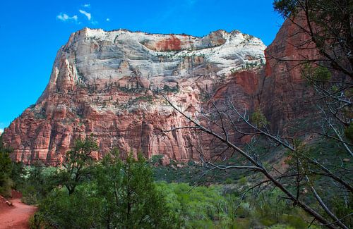 Steile bergen in Zion Nationaal Park