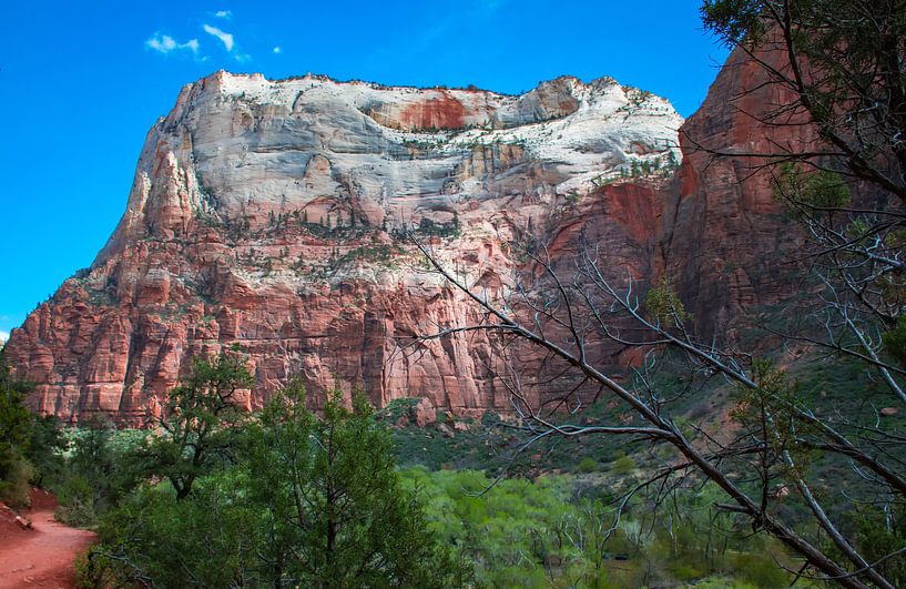 Steep mountains in Zion National Park by Rietje Bulthuis