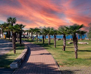 Strandpromenade met palmbomen aan de Adriatische Zee in Kroatië van Animaflora PicsStock