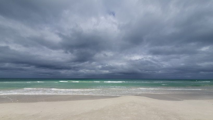 Beach on the Atlantic, Cuba, motif 4 by zam art
