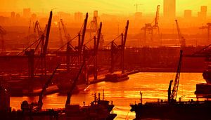 Port mondial de Rotterdam sur Rogier Vermeulen