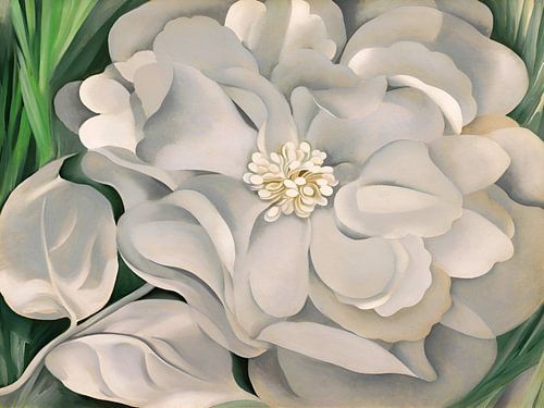 Georgia OKeeffe - De witte calicobloem .1931