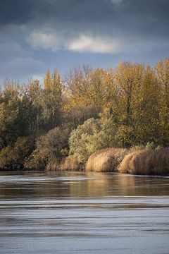 Couleurs d'automne de l'Escaut, Belgique