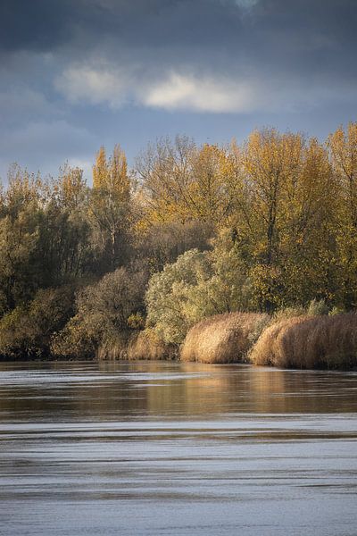 Scheldt River Autumn Colours, Belgium by Imladris Images