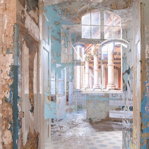 CLIMB YOUR DREAMS II