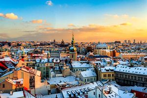 Praag vanuit de uitkijktoren van Roy Poots