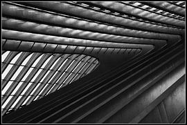 Liège-Guillemins von Sascha Stein