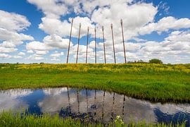 Monument Oerwold De Onlanden by R Smallenbroek