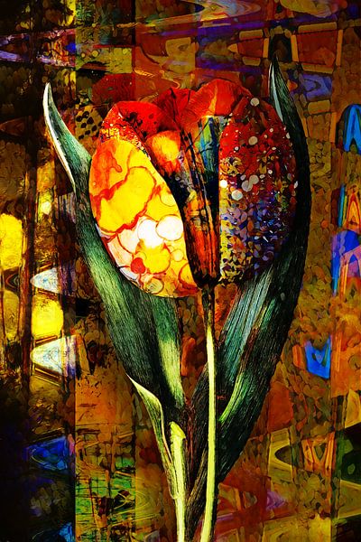 The colourful tulip by Helga Blanke