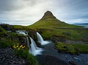 Landschaft mit gelben Blumen, Wasserfällen und dem Berg Kirkjufell auf der Halbinsel Snæfellsnes | R von Teun Janssen Miniaturansicht
