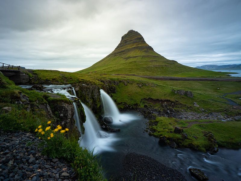 Landschaft mit gelben Blumen, Wasserfällen und dem Berg Kirkjufell auf der Halbinsel Snæfellsnes | R von Teun Janssen
