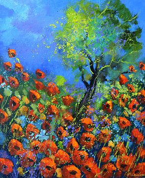 Red poppies 5623 sur pol ledent