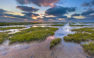 Tidal marsh in Natura 2000 area Waddensea on the Groningen coast in the Netherlands by Rudmer Zwerver