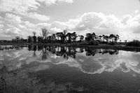 Wolken, bomen en de reflectie in het water
