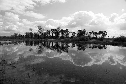 Wolken, Bäume und die Spiegelung im Wasser