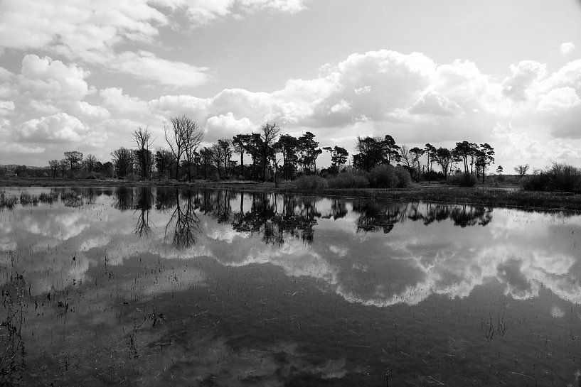 Clouds, trees and the reflection in the water by Wytze Plantenga