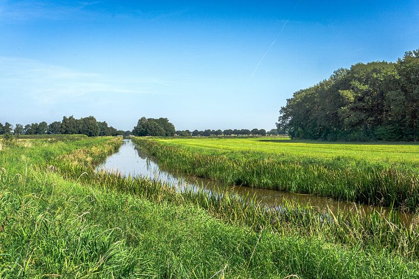 Breite Ansicht von Edwin Boer