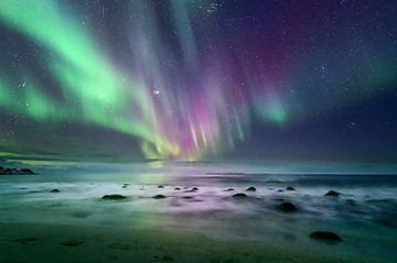 Lofoten Aurora von Peter Poppe