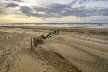 Beach life by Dirk van Egmond