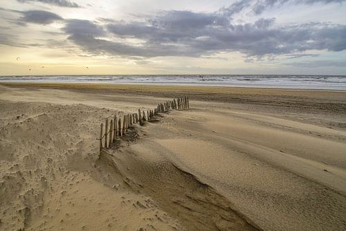 La vie à la plage