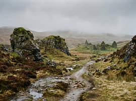 Stimmungsvoller Heideweg von Markus Gann