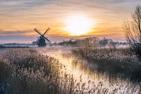 Hollands landschap