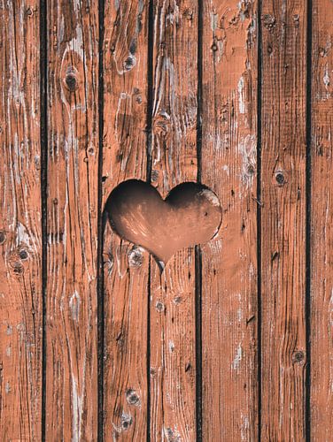 Die Liebe ist überall