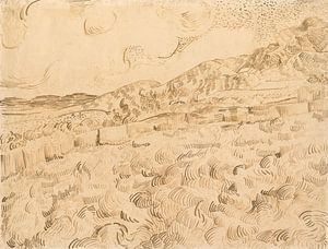 Vincent van Gogh. Weizenfeld nach dem Sturm