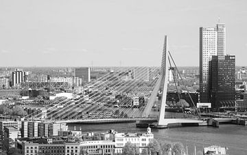 Le Pont Erasmus à Rotterdam